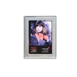 FRAME CORAL COAST 4053 5X7 ROMA SILVER