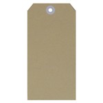 ESSELTE 38986 SHIPPING TAGS SIZE 4 54 X 108MM BUFF