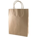 CAPRI KRAFT PAPER CARRY BAG B1 TWIST HANDLE SMALL BROWN 300 X 305 X 175MM PACK 250