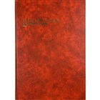 Account Books