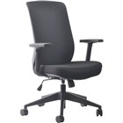 Ergonomic Chairs