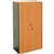 RAPID WORKER CUPBOARD LOCKABLE 1800 X 900 X 450MM BEECHIRONSTONE