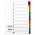 INITIATIVE INDEX DIVIDERS A4 110 TAB WHITE WITH MYLAR TABS