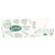 SORBENT PROFESSIONAL 25301 SILKY WHITE FACIAL TISSUE 2 PLY 100 SEETS EACH OR BOX 48
