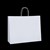 TWIST HANDLE 22 MILAN FLAT FOLD BAG LANDSCAPE WHITE 300 X 380 X 120MM 100GSM PACK 50