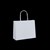 TWIST HANDLE 11 FLAT FOLD BAG WHITE 180 X 220 X 80MM 80GSM PACK 50